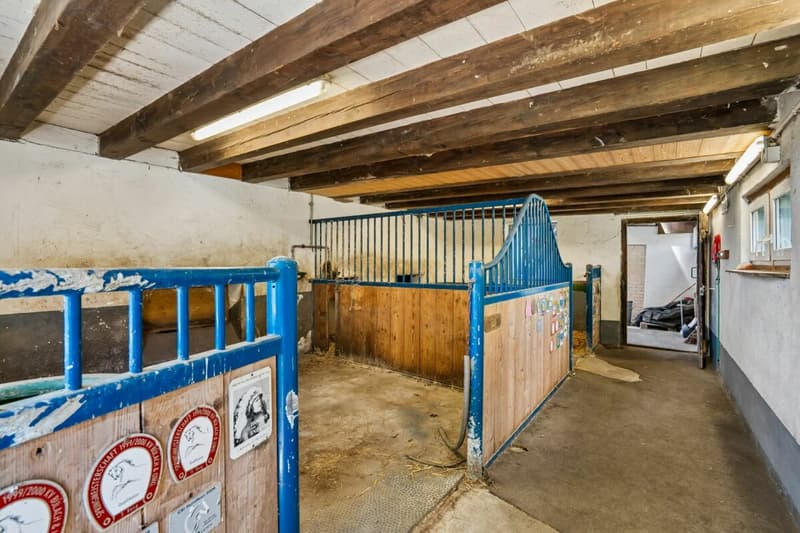 WO PFERDE, NATUR UND WEITSICHT EIN ZUHAUSE FINDEN (6)