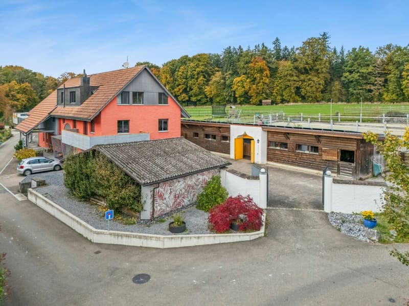 *NEUER PREIS* - FRISCH RENOVIERTES WOHNHAUS MIT REITPLATZ, ROUNDPEN UND GROSSEN WEIDEFLÄCHEN (1)