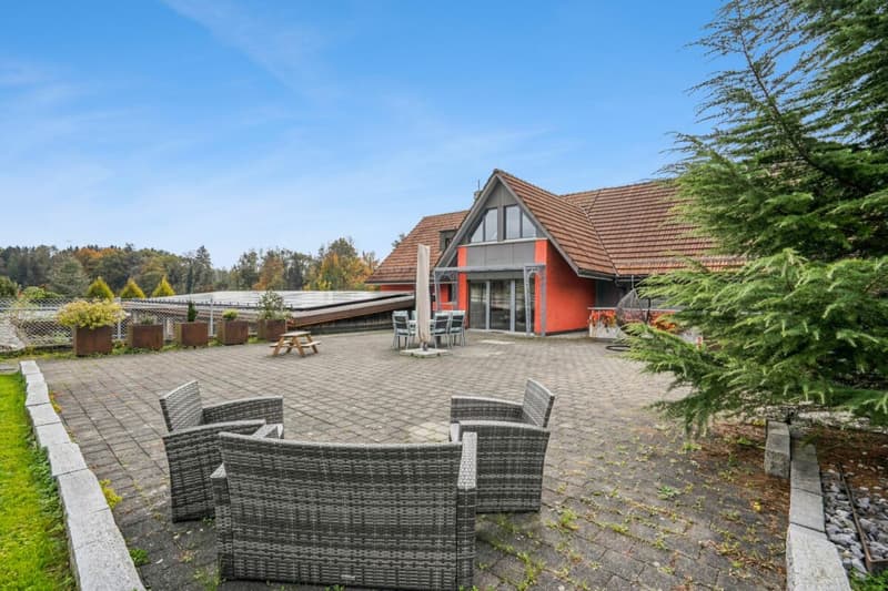 *NEUER PREIS* - FRISCH RENOVIERTES WOHNHAUS MIT REITPLATZ, ROUNDPEN UND GROSSEN WEIDEFLÄCHEN (18)