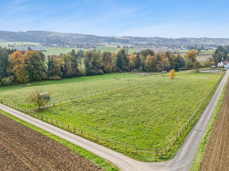 *NEUER PREIS* - FRISCH RENOVIERTES WOHNHAUS MIT REITPLATZ, ROUNDPEN UND GROSSEN WEIDEFLÄCHEN (9)