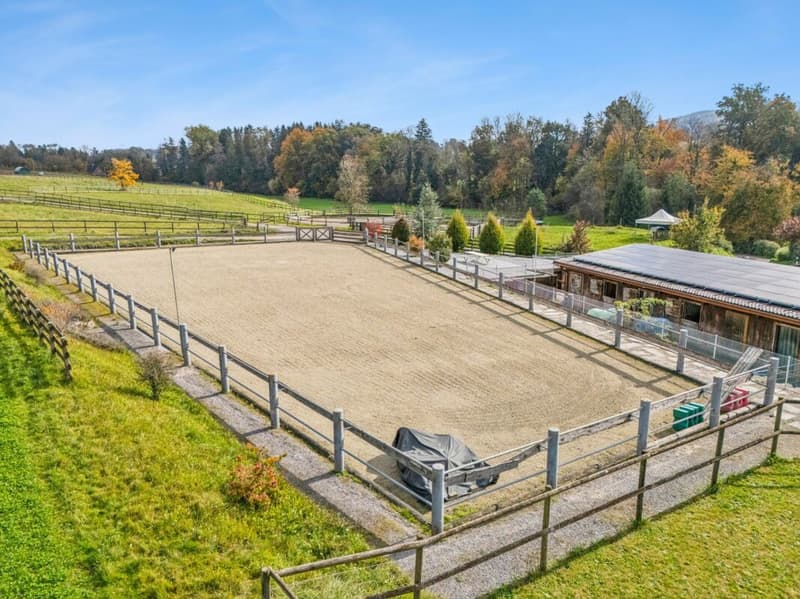 *NEUER PREIS* - FRISCH RENOVIERTES WOHNHAUS MIT REITPLATZ, ROUNDPEN UND GROSSEN WEIDEFLÄCHEN (8)