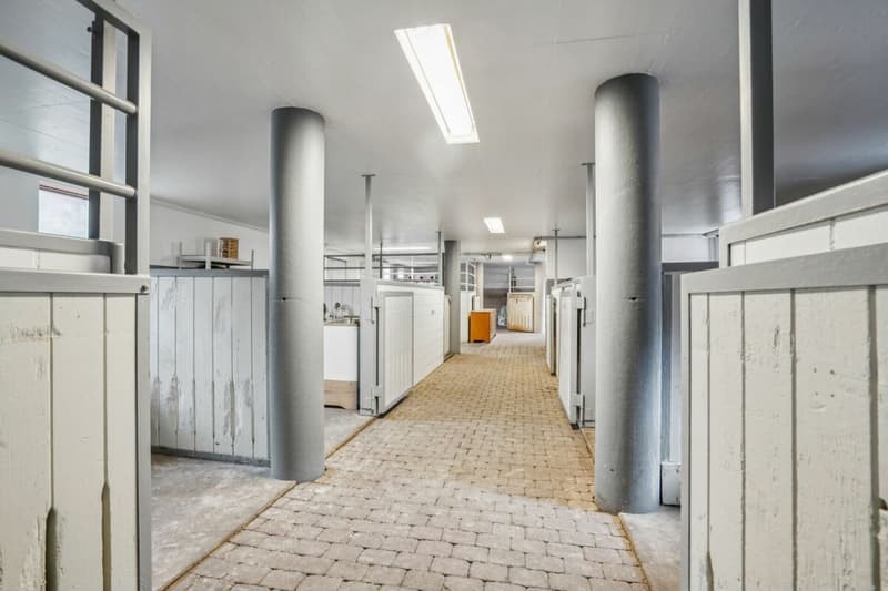 *NEUER PREIS* - FRISCH RENOVIERTES WOHNHAUS MIT REITPLATZ, ROUNDPEN UND GROSSEN WEIDEFLÄCHEN (12)