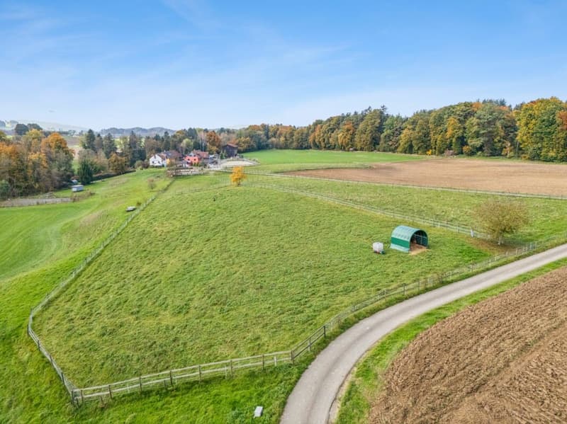 *NEUER PREIS* - FRISCH RENOVIERTES WOHNHAUS MIT REITPLATZ, ROUNDPEN UND GROSSEN WEIDEFLÄCHEN (9)