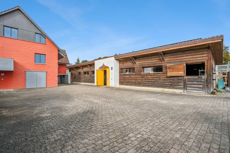*NEUER PREIS* - FRISCH RENOVIERTES WOHNHAUS MIT REITPLATZ, ROUNDPEN UND GROSSEN WEIDEFLÄCHEN (15)