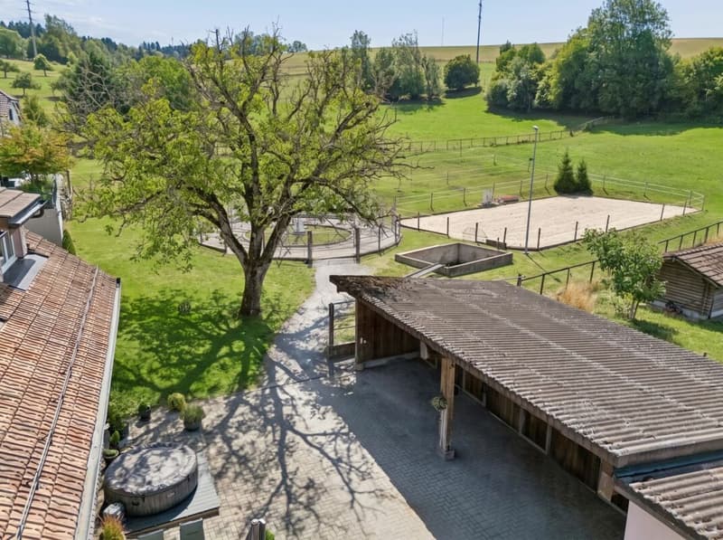 Stall, Reitplatz und Führanlage sowie Weiden direkt am Haus (9)