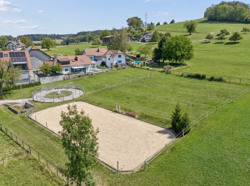 Stall, Reitplatz und Führanlage sowie Weiden direkt am Haus (4)