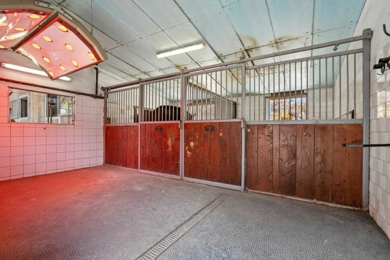 Stall, Reitplatz und Führanlage sowie Weiden direkt am Haus (3)