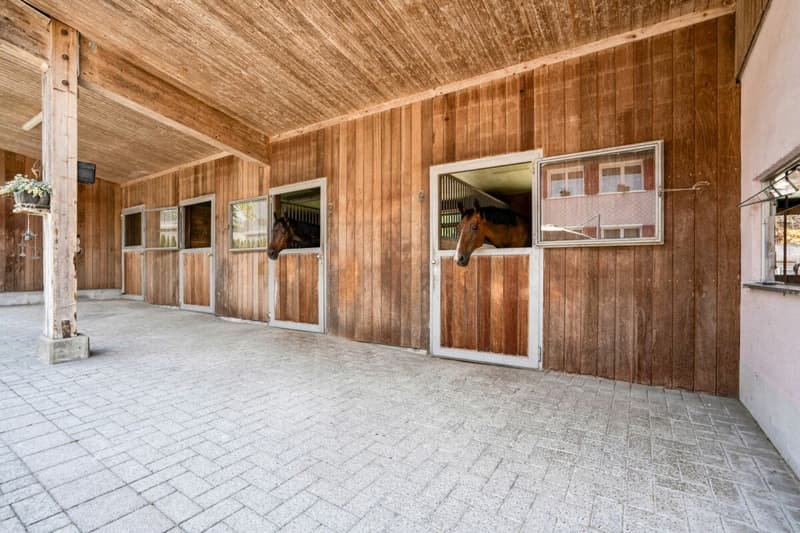 Stall, Reitplatz und Führanlage sowie Weiden direkt am Haus (2)