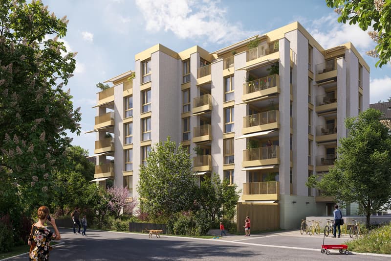 Perfekt gelegene 4.5-Zimmer-Neubauwohnung für alle Lebensphasen (4)