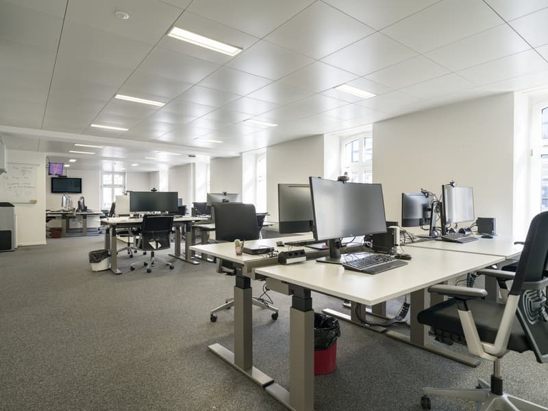 Votre nouveau lieu de bureau à Löwenplatz à Zurich à louer (6)