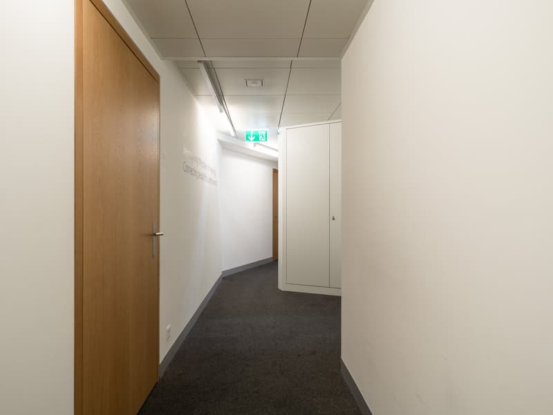 Votre nouveau lieu de bureau à Löwenplatz à Zurich à louer (4)