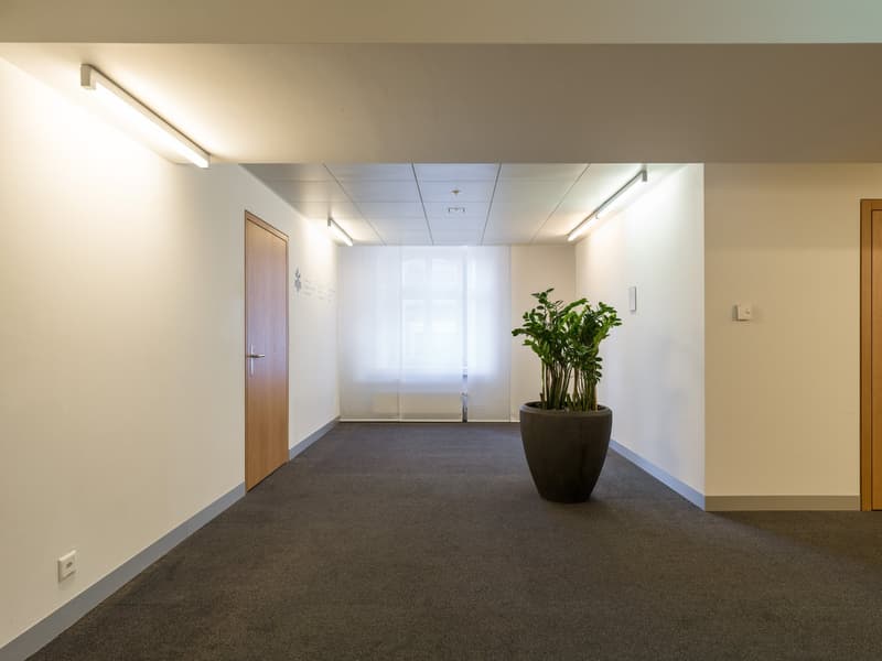 Votre nouveau lieu de bureau à Löwenplatz à Zurich à louer (9)