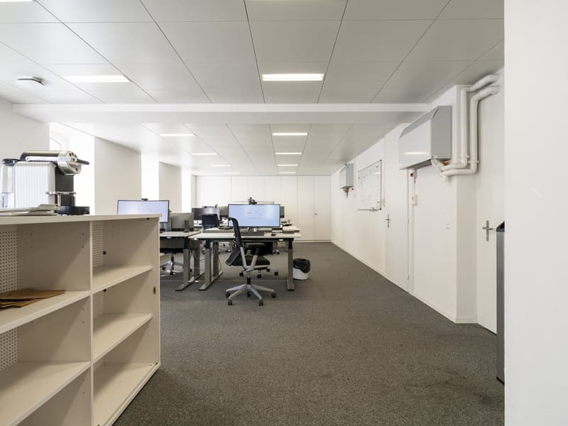 Votre nouveau lieu de bureau à Löwenplatz à Zurich à louer (10)