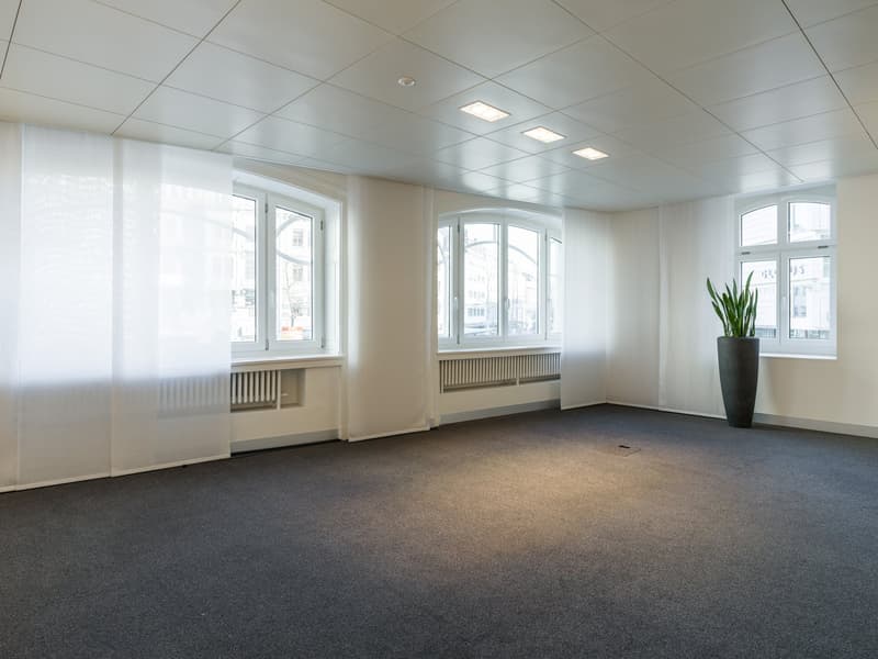 Votre nouveau lieu de bureau à Löwenplatz à Zurich à louer (8)
