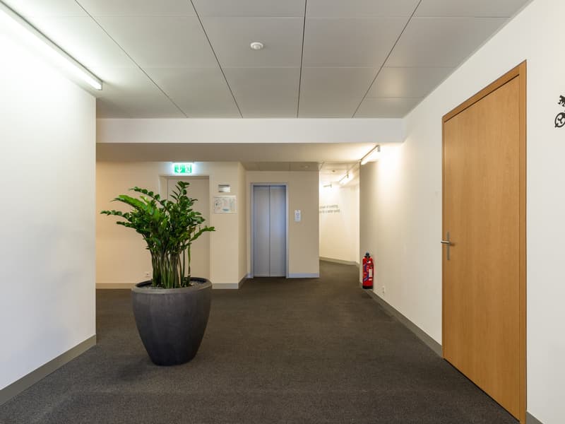 Votre nouveau lieu de bureau à Löwenplatz à Zurich à louer (7)