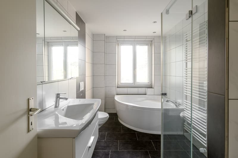 Bel appartement 4,5 pièces dans le quartier d'Iselin (5)