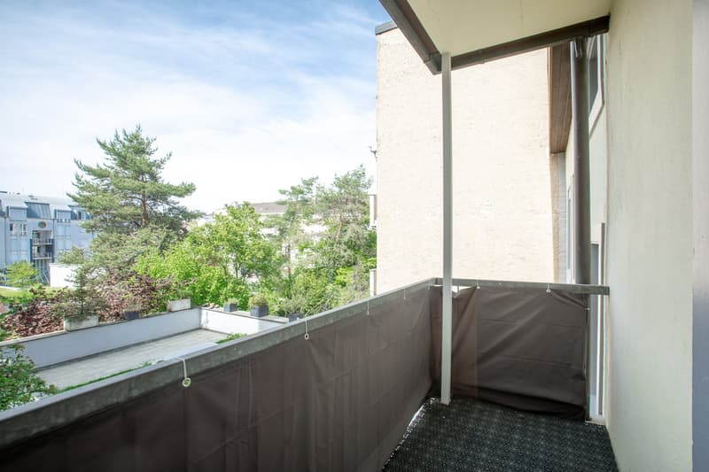Bel appartement 4,5 pièces dans le quartier d'Iselin (4)