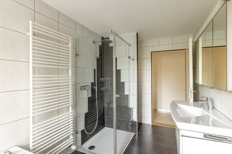 Bel appartement 4,5 pièces dans le quartier d'Iselin (6)