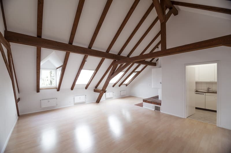 Charmante 3-Zimmer-Dachwohnung in Binningen (1)