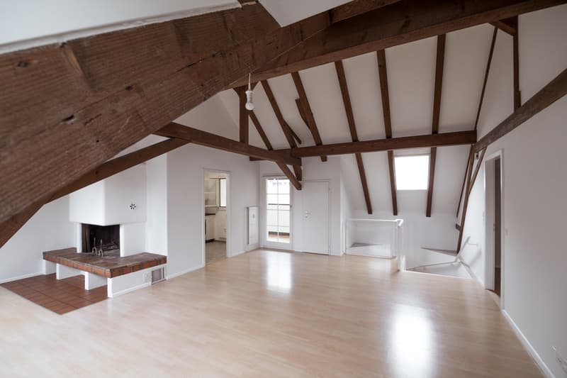 Charmante 3-Zimmer-Dachwohnung in Binningen (20)