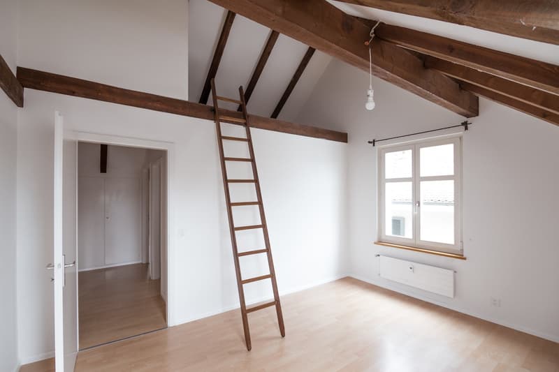 Charmante 3-Zimmer-Dachwohnung in Binningen (16)