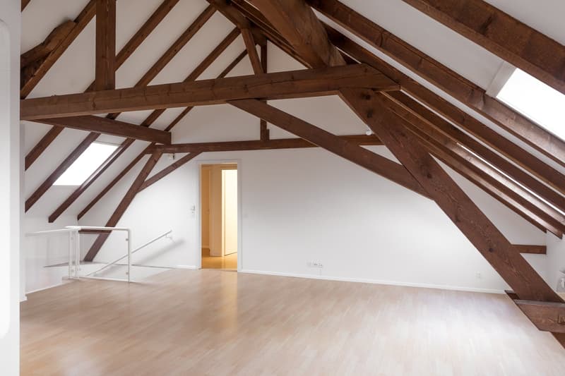 Charmante 3-Zimmer-Dachwohnung in Binningen (4)