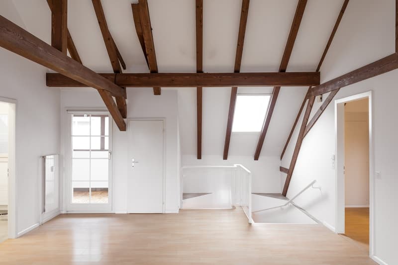 Charmante 3-Zimmer-Dachwohnung in Binningen (5)