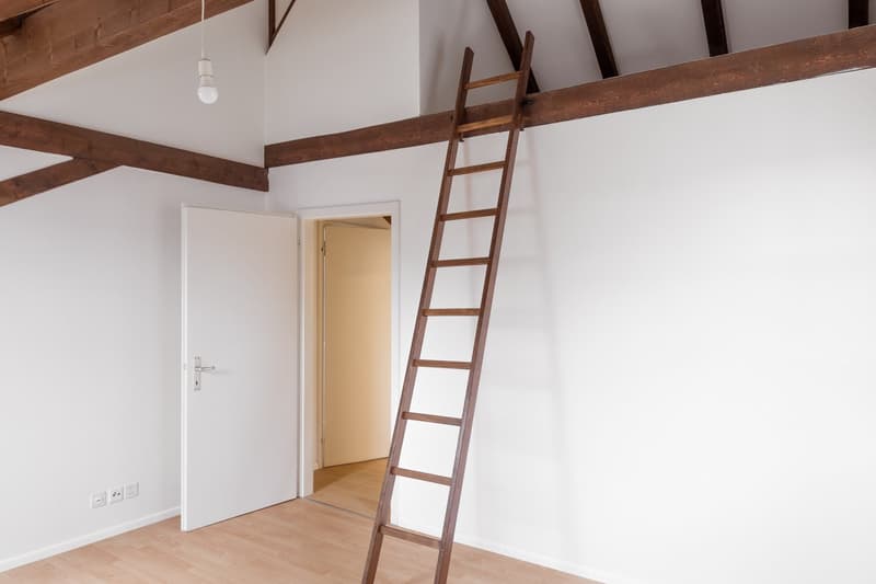 Charmante 3-Zimmer-Dachwohnung in Binningen (8)