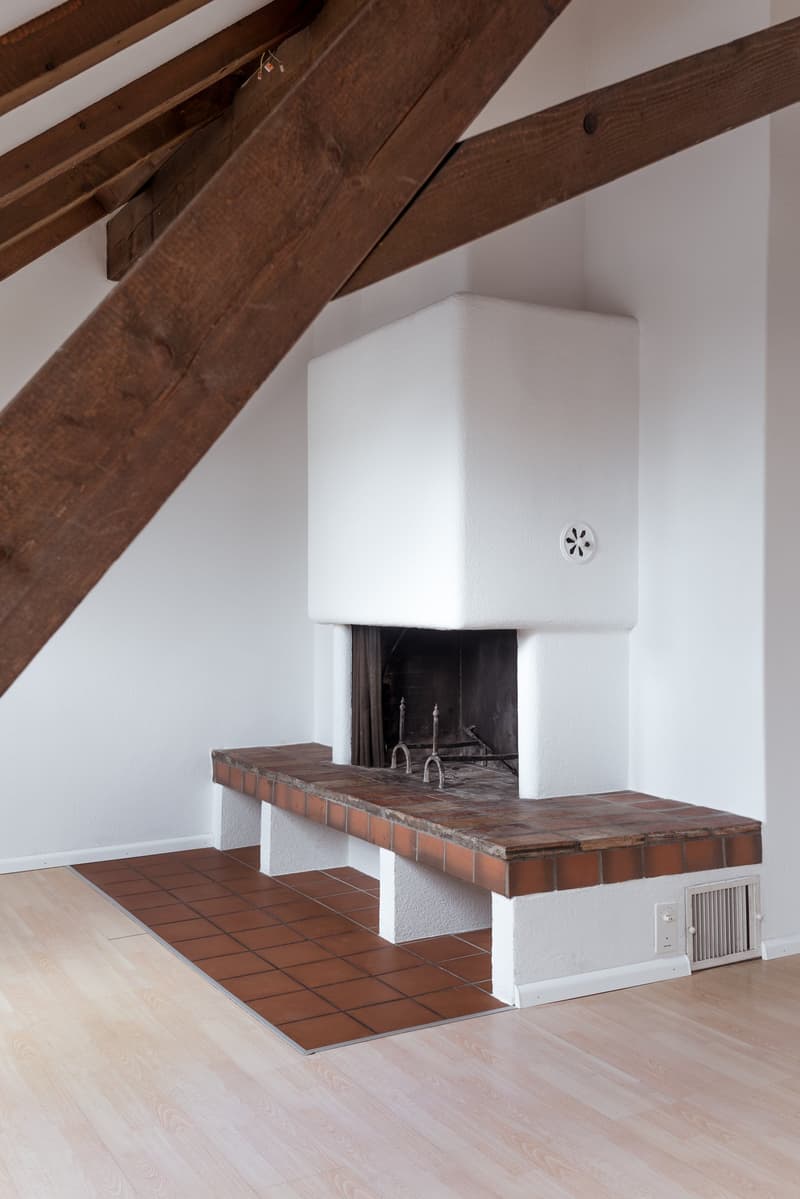 Charmante 3-Zimmer-Dachwohnung in Binningen (14)