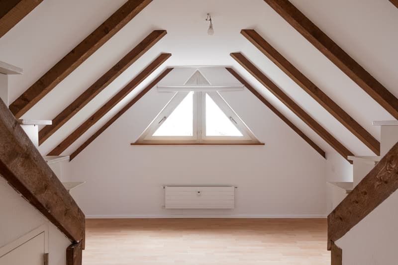 Charmante 3-Zimmer-Dachwohnung in Binningen (6)