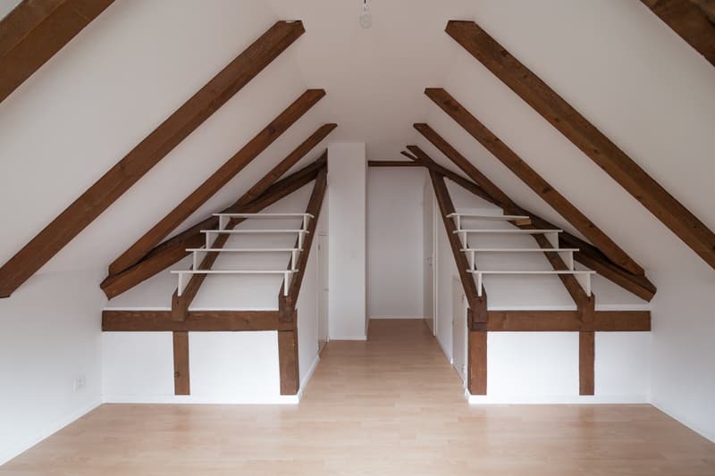 Charmante 3-Zimmer-Dachwohnung in Binningen (18)