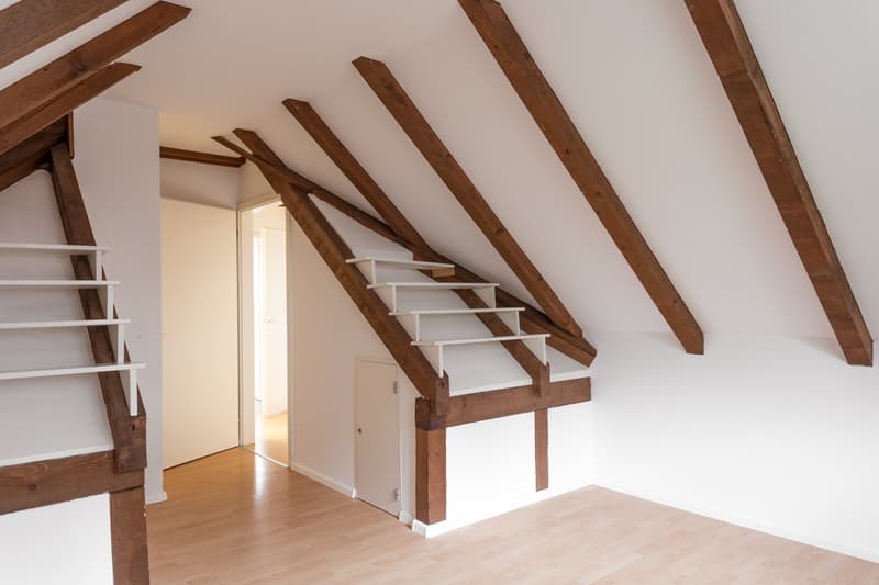 Charmante 3-Zimmer-Dachwohnung in Binningen (7)