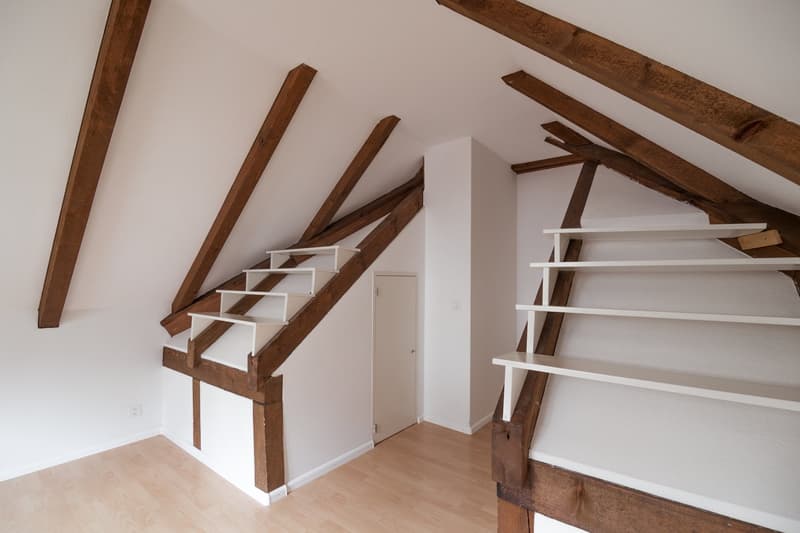 Charmante 3-Zimmer-Dachwohnung in Binningen (19)