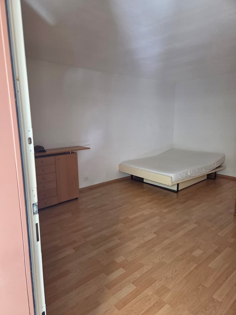 Gemütliches Studio mit Balkon an der Hauptstrasse in Binningen (1)
