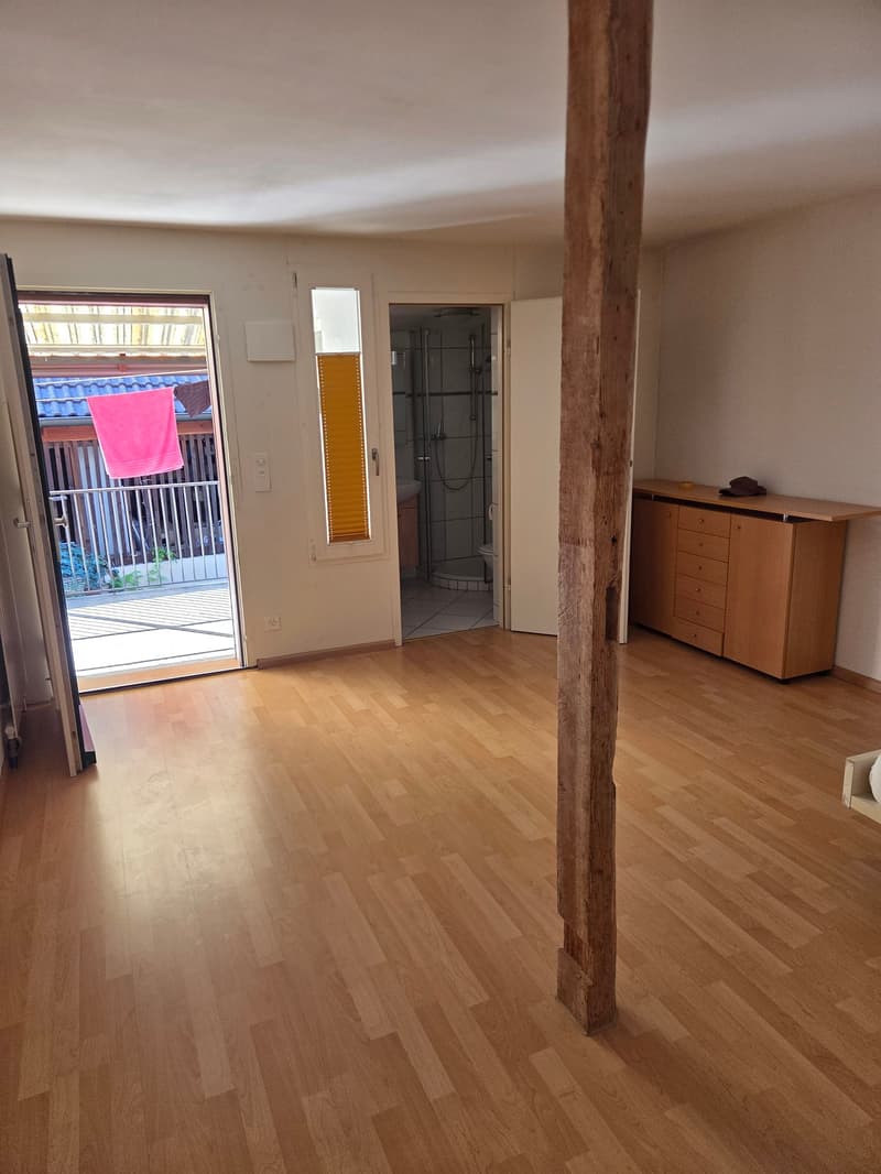 Gemütliches Studio mit Balkon an der Hauptstrasse in Binningen (2)