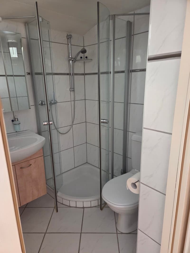 Gemütliches Studio mit Balkon an der Hauptstrasse in Binningen (6)