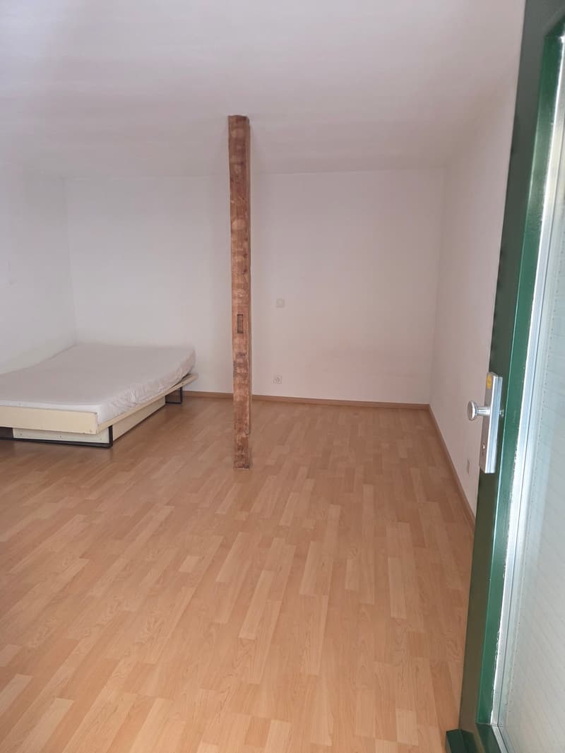 Gemütliches Studio mit Balkon an der Hauptstrasse in Binningen (3)