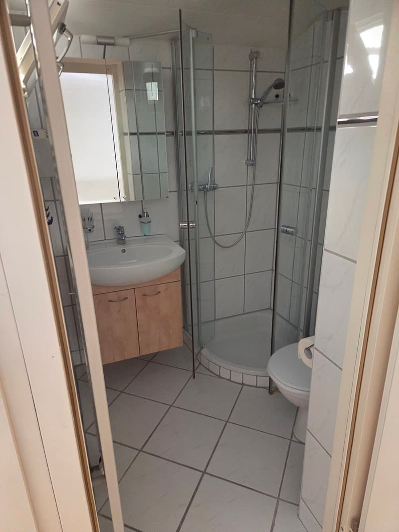 Gemütliches Studio mit Balkon an der Hauptstrasse in Binningen (5)