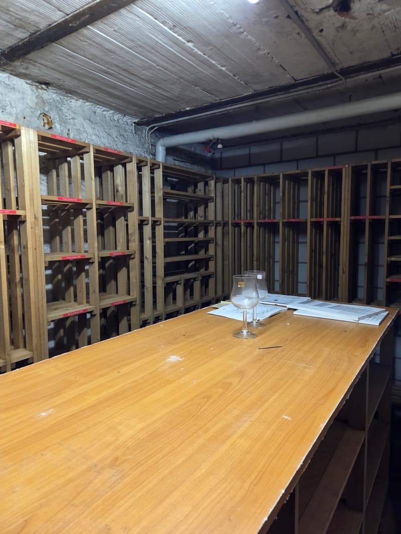 Klimatisierter Weinkeller in historischem Gebäude (3)