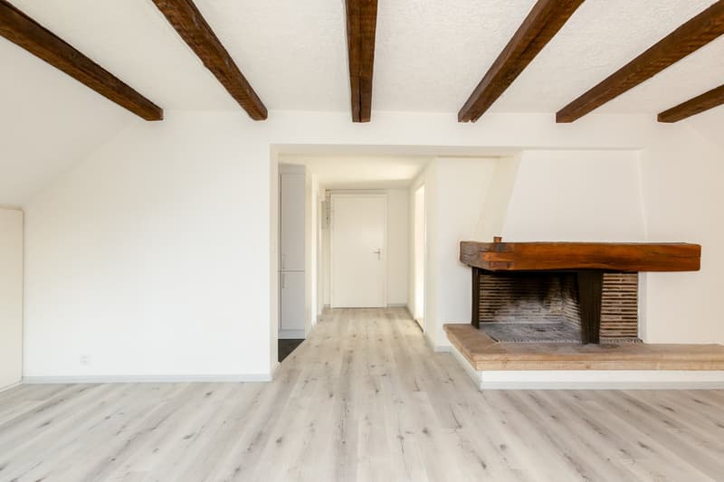 Helle 3,5 Zimmer-Dachwohnung nähe Kronenplatz (4)