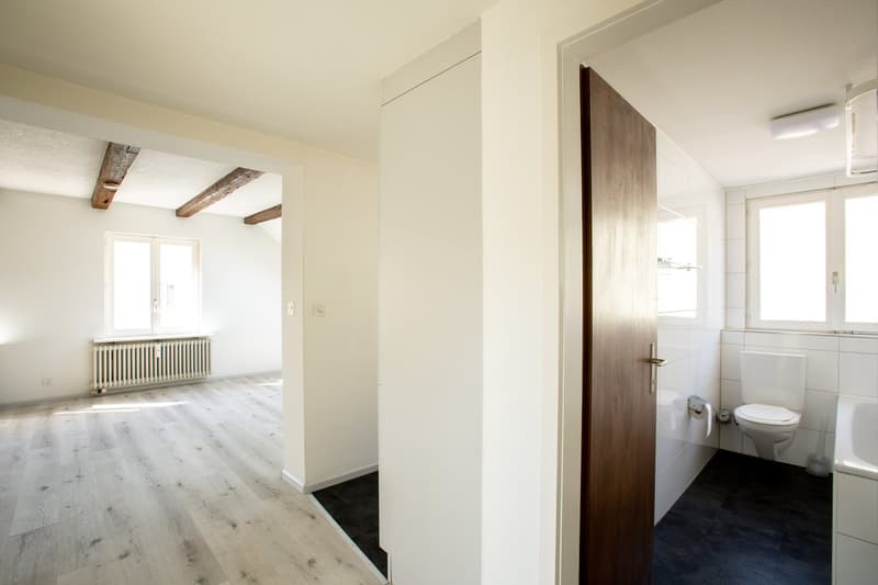 Helle 3,5 Zimmer-Dachwohnung nähe Kronenplatz (16)