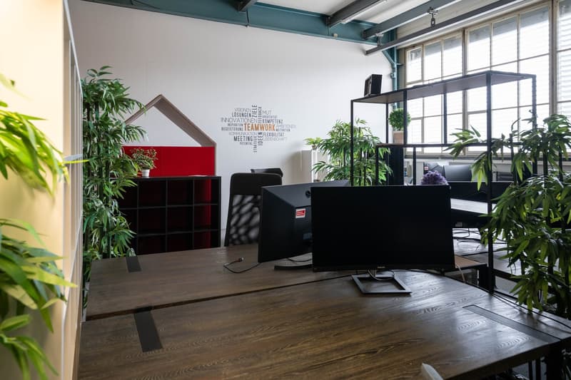 Coworking Desk in Fabrikhalle - diverse subscription models (2)