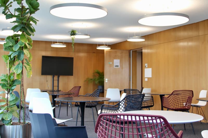 modern office room with wooden walls, round tables, chairs, plants, TV