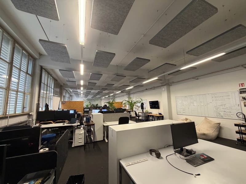 Grosszügiges Büro im EG in kreativer Fabrikhalle (4)