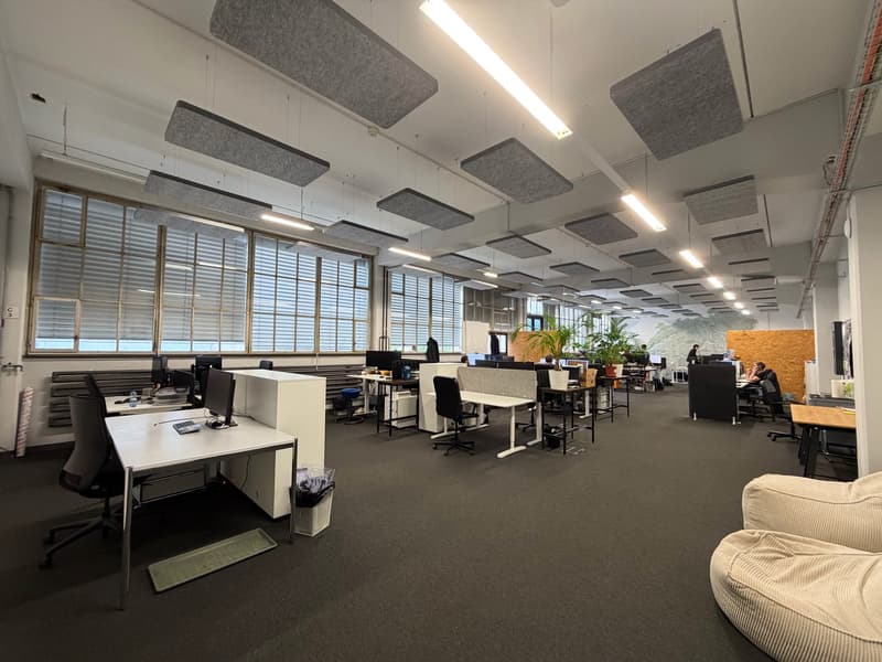 Grosszügiges Büro im EG in kreativer Fabrikhalle (1)