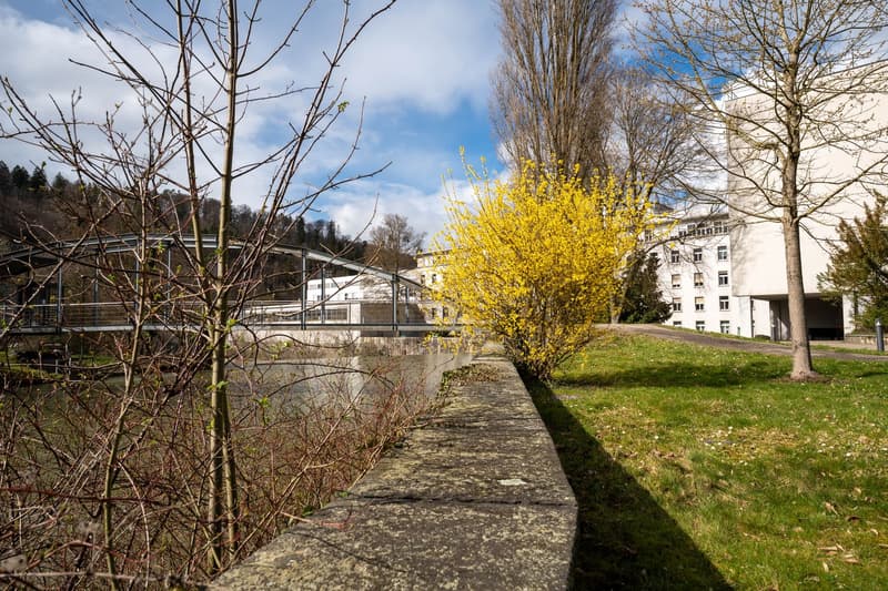 Grosszügiges Büro im EG in kreativer Fabrikhalle (18)