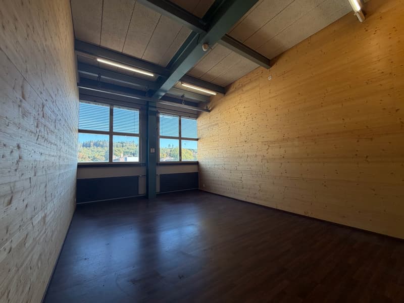 Günstiges Büro in kreativer Fabrikhalle (1)