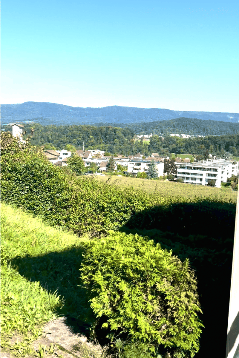 879m2 meilleure vue avec maison unifamiliale de 7,5 pièces : 4,5 pièces appartement principal / appartement annexe de 3 pièces séparable de manière flexible (26)