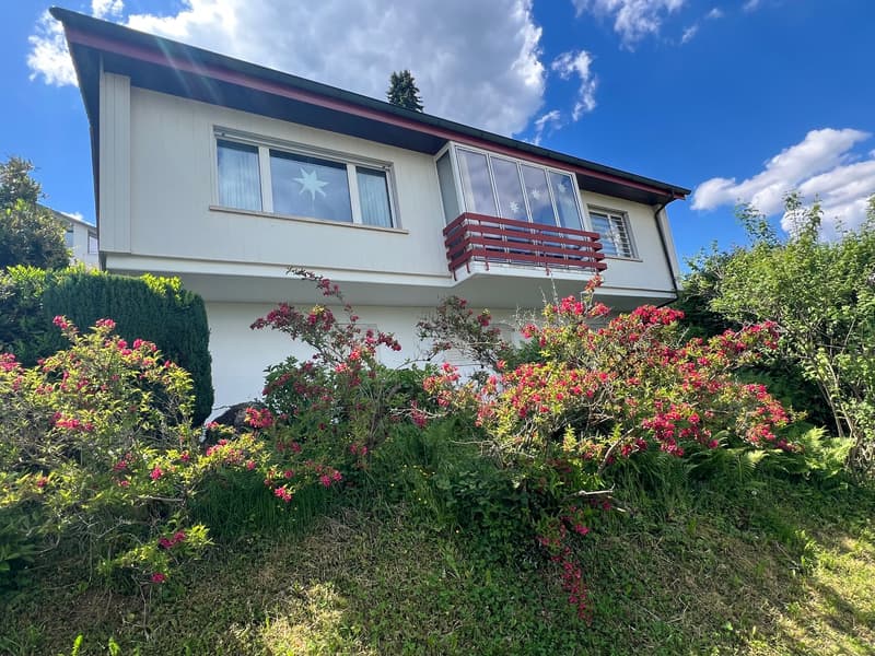 879m2 meilleure vue avec maison unifamiliale de 7,5 pièces : 4,5 pièces appartement principal / appartement annexe de 3 pièces séparable de manière flexible (6)