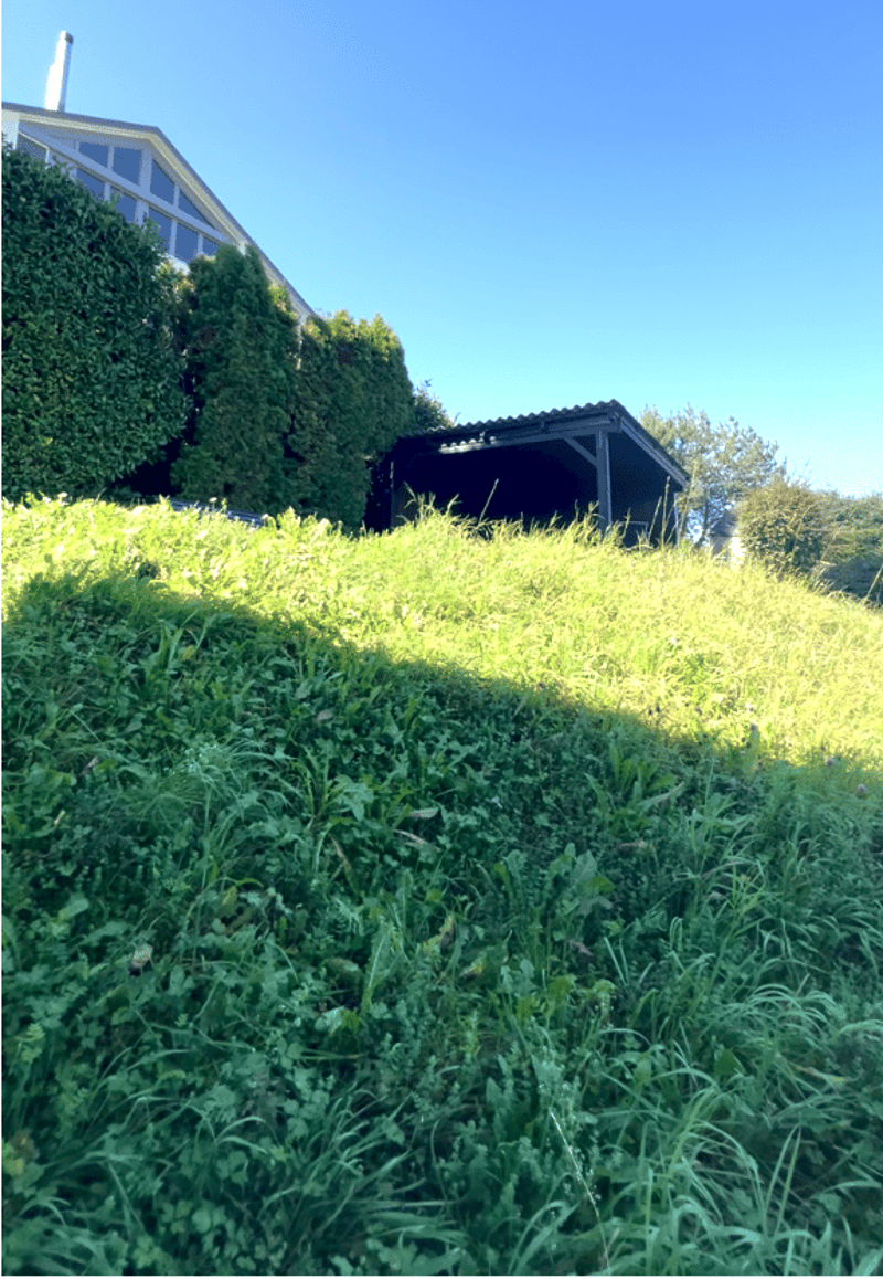 Sicht von Einliegerwohnung zu Pergola der Haupt-Wohnung